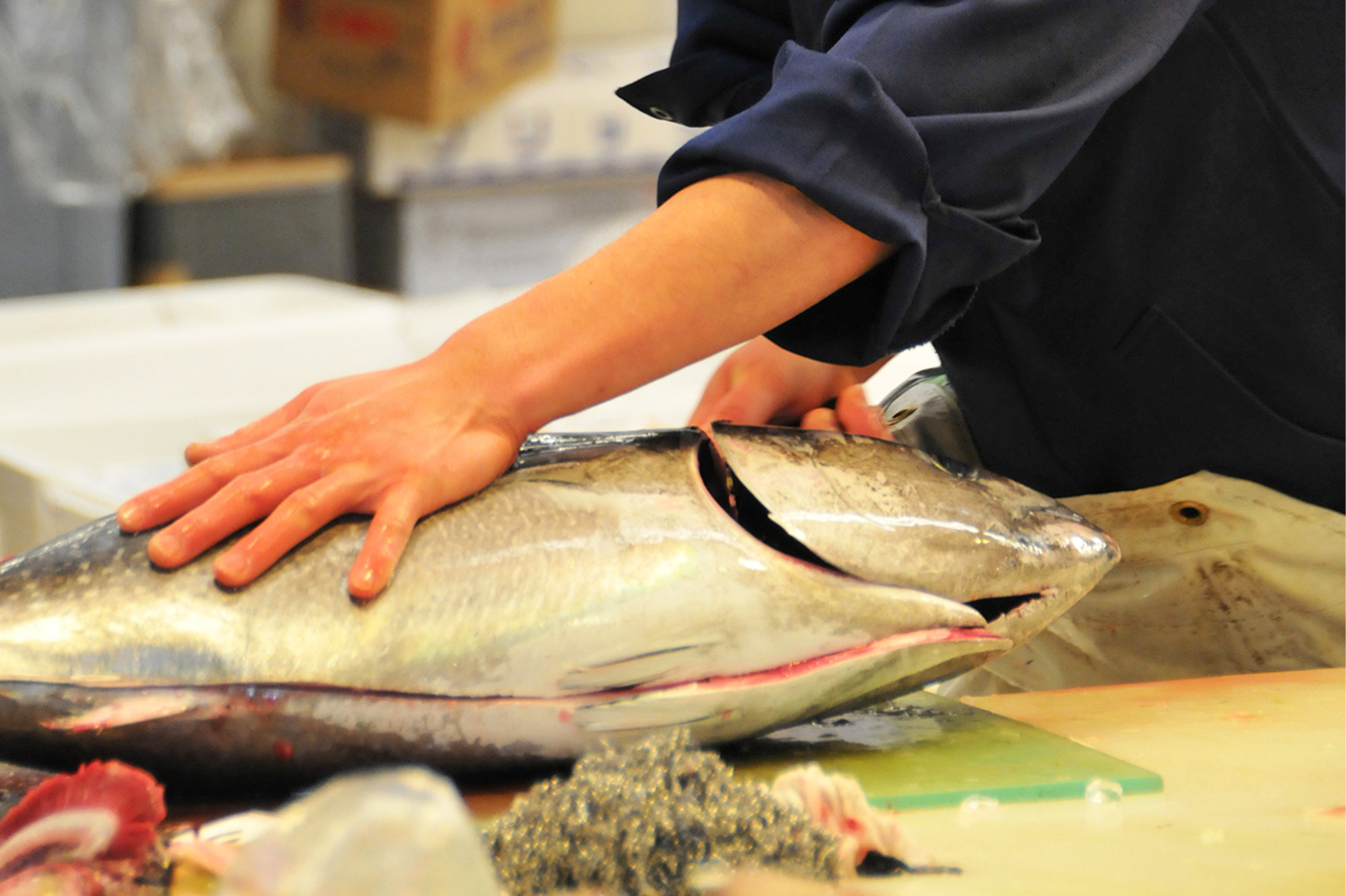 写真：魚をさばくイメージ